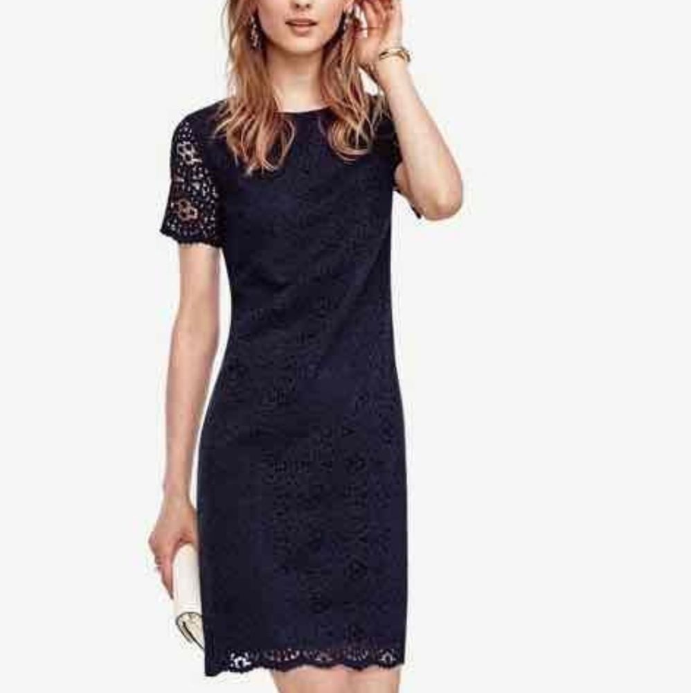 Ann Taylor Mosaic Lace Shift Dress